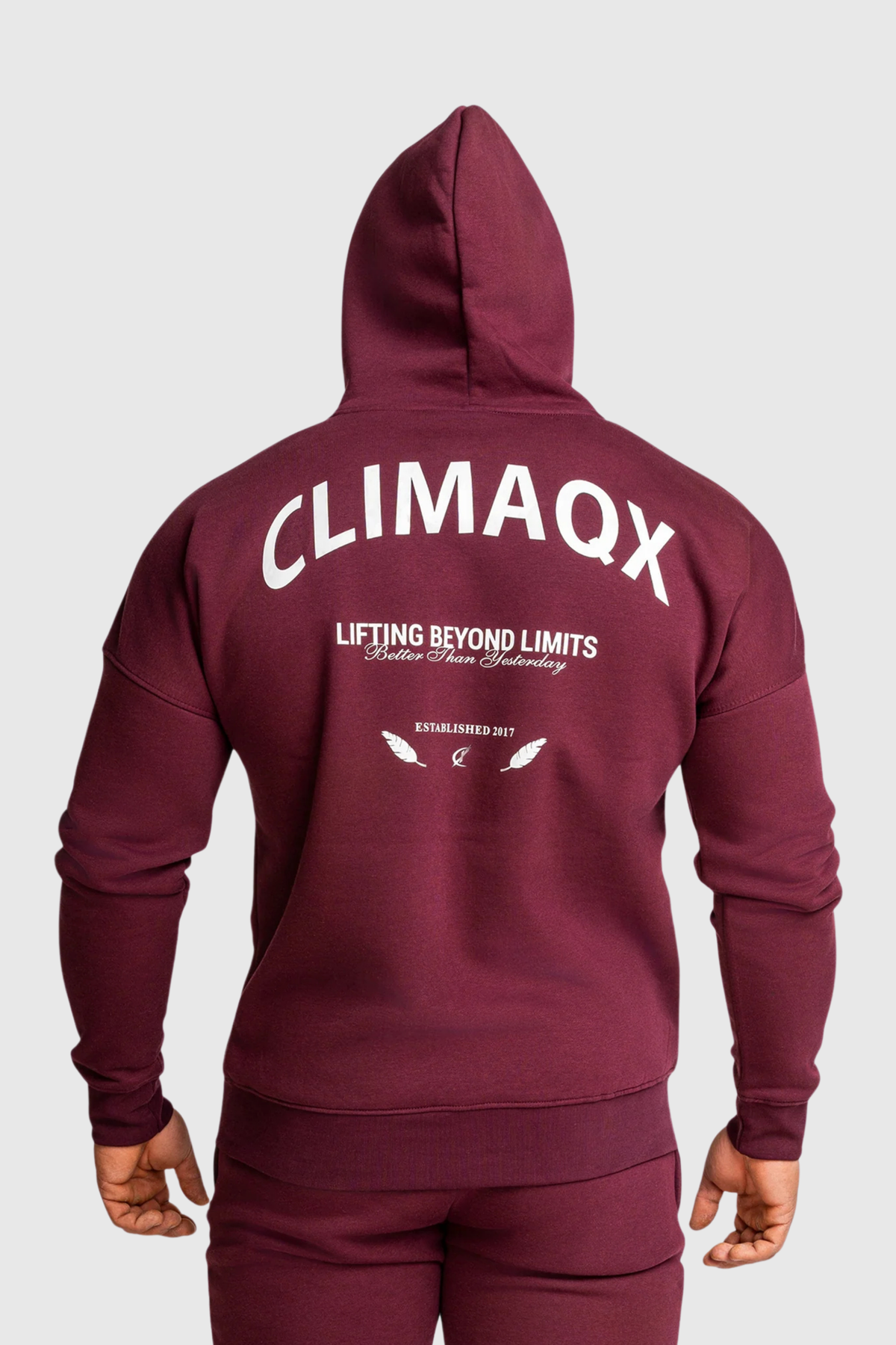 Hoodie Element Regular Fit