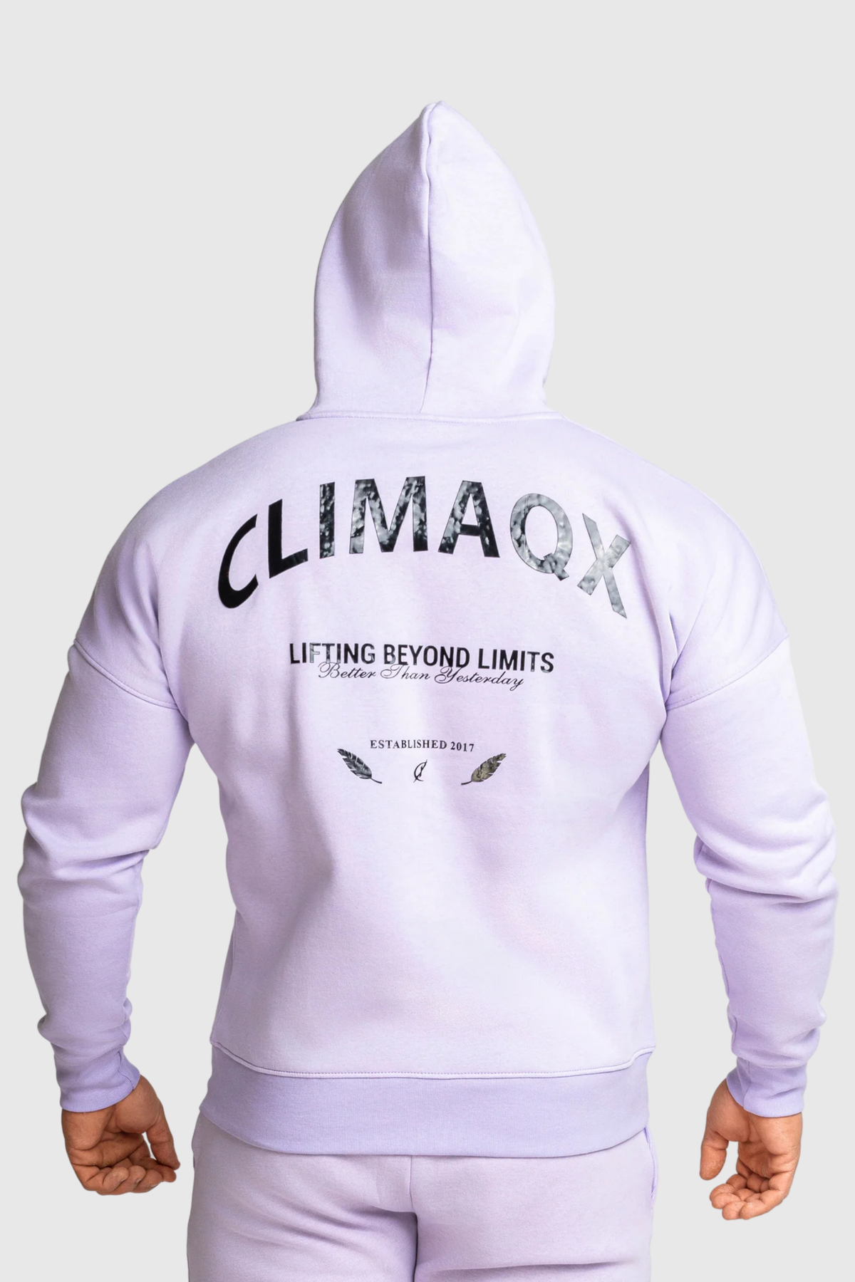 Hoodie Element Regular Fit