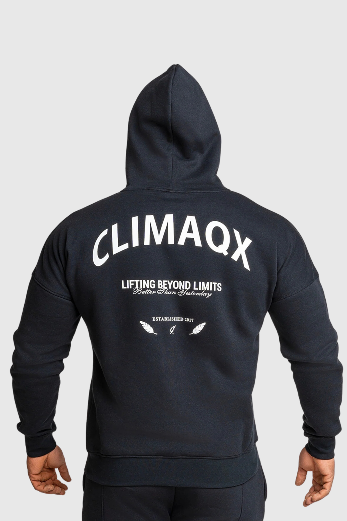 Hoodie Element Regular Fit